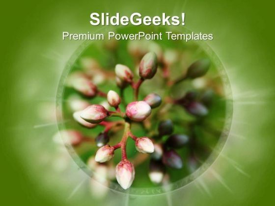 beautiful_flower_with_great_effects_powerpoint_templates_ppt_backgrounds_for_slides_0613_title.jpg