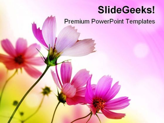 beautiful_pink_flowers_beauty_powerpoint_themes_and_powerpoint_slides_0411_title.jpg