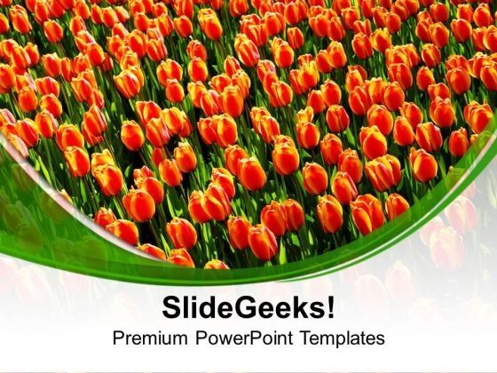 beautiful_tulips_on_white_background_powerpoint_templates_ppt_backgrounds_for_slides_0213_title.jpg