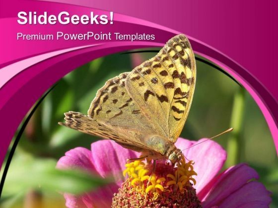 bee_on_blooming_flower_powerpoint_templates_ppt_backgrounds_for_slides_0513_title.jpg