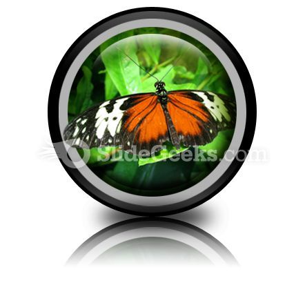 big_butterfly_powerpoint_icon_cc.jpg