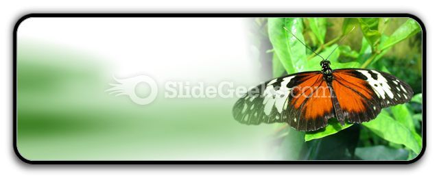 big_butterfly_powerpoint_icon_r.jpg