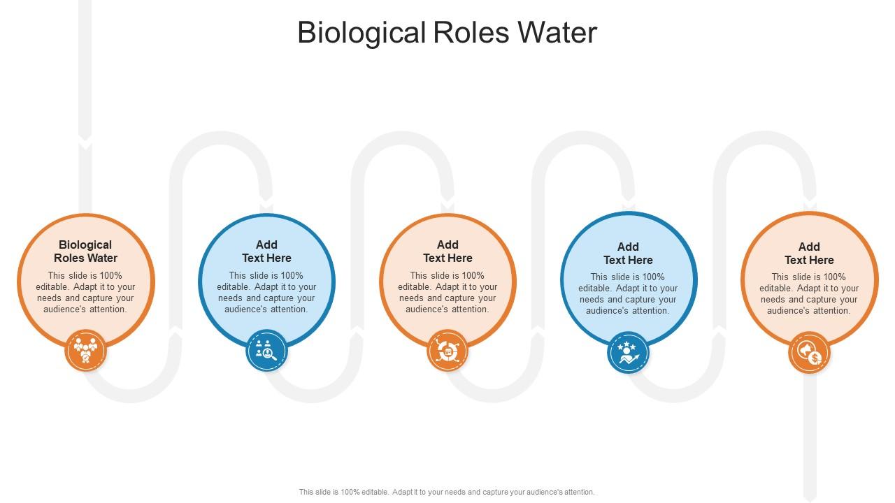 Biological Roles Water In Powerpoint And Google Slides Cpb