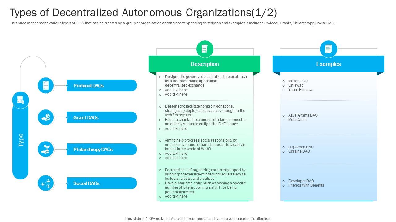 Blockchain Basics Understanding Types Of Decentralized Autonomous Ppt Example BCT SS V
