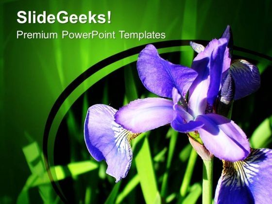 blue_bellflower_campanula_powerpoint_templates_ppt_backgrounds_for_slides_0513_title.jpg