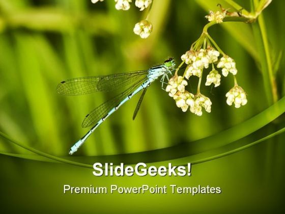blue_dragonfly_animals_powerpoint_templates_and_powerpoint_backgrounds_0211_title.jpg