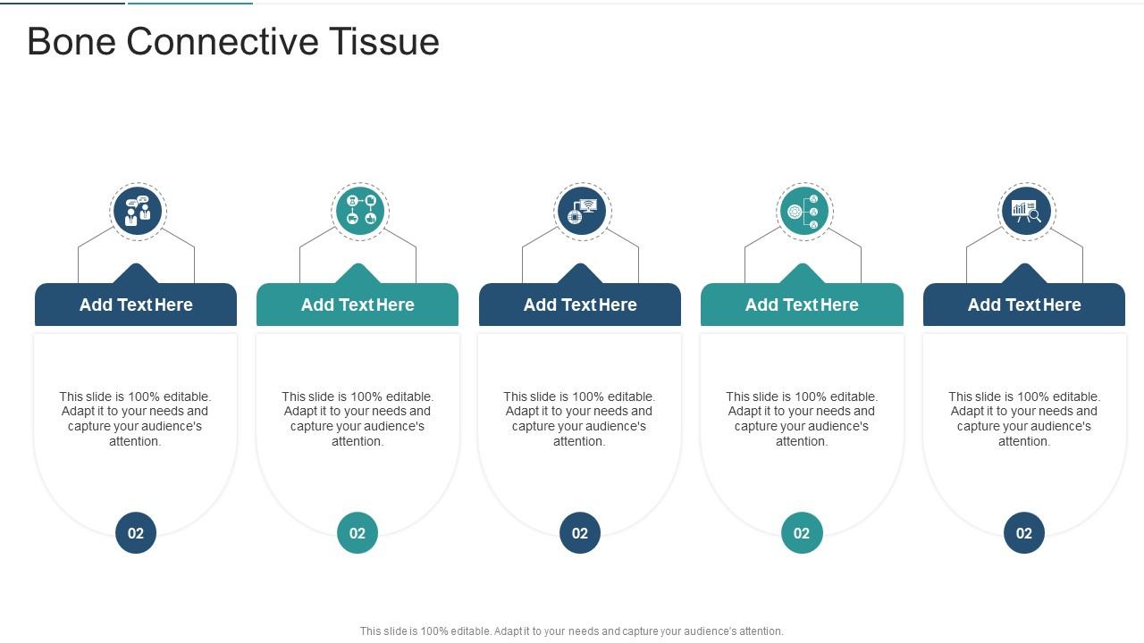 Bone Connective Tissue In Powerpoint And Google Slides Cpb