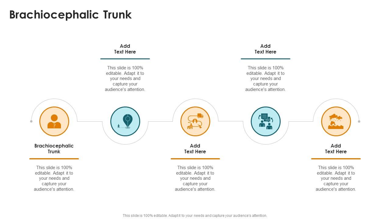 Brachiocephalic Trunk In Powerpoint And Google Slides Cpb