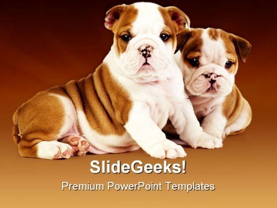 bulldog_puppies_animals_powerpoint_templates_and_powerpoint_backgrounds_0511_title.jpg