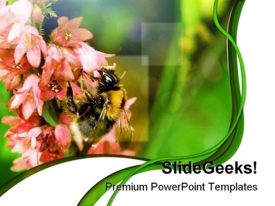 bumble_bee_nature_powerpoint_templates_and_powerpoint_backgrounds_0211_title.jpg