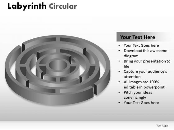 business_finance_strategy_development_labyrinth_circular_sales_diagram_1.jpg