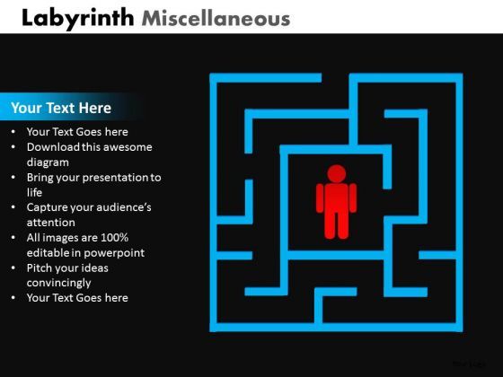 business_framework_model_labyrinth_misc_marketing_diagram_1.jpg