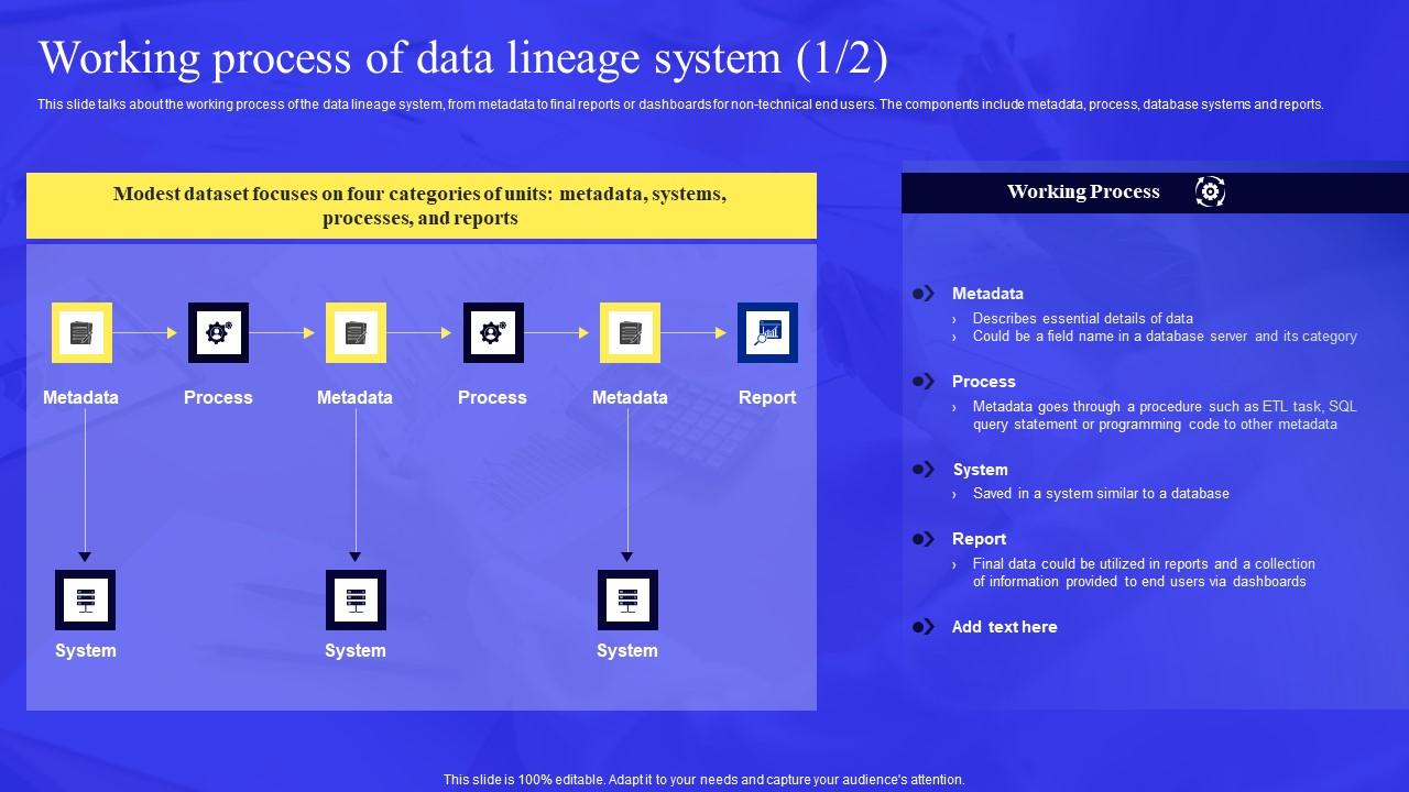Business Process Data Lineage Working Process Of Data Lineage System Pictures Pdf