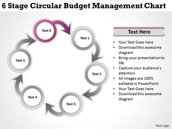 business_strategy_development_stage_circular_budget_management_chart_ppt_model_1.jpg