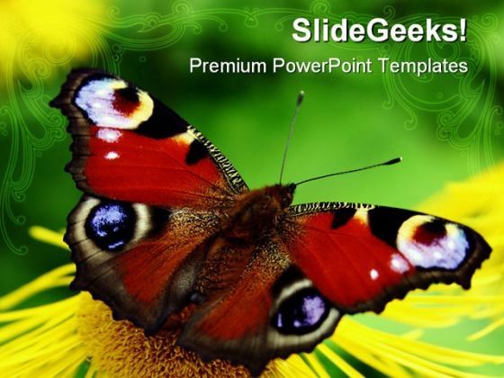 butterfly_animals_powerpoint_templates_and_powerpoint_backgrounds_0211_title.jpg