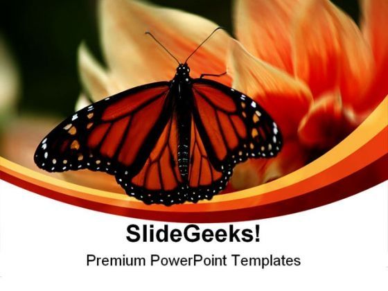 butterfly_beauty_nature_powerpoint_themes_and_powerpoint_slides_0211_title.jpg