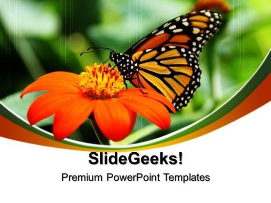 butterfly_nature_powerpoint_templates_and_powerpoint_themes_0512_title.jpg