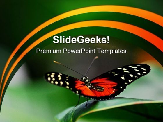 butterfly_ready_animals_powerpoint_themes_and_powerpoint_slides_0211_title.jpg
