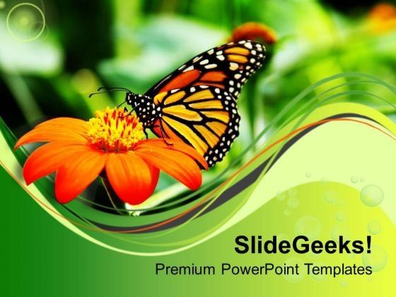 butterfly_with_flower_powerpoint_templates_ppt_backgrounds_for_slides_0613_title.jpg