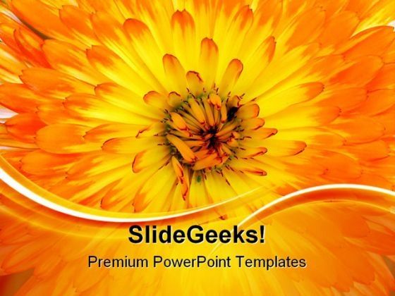 calendula_background_nature_powerpoint_templates_and_powerpoint_backgrounds_0511_title.jpg