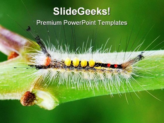 catapillar_animals_powerpoint_template_0910_title.jpg
