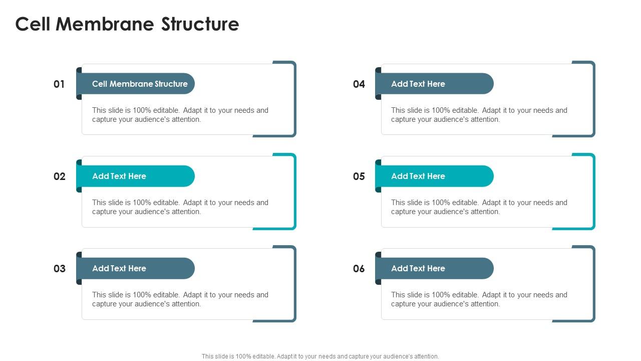 Cell Membrane Structure In Powerpoint And Google Slides Cpb
