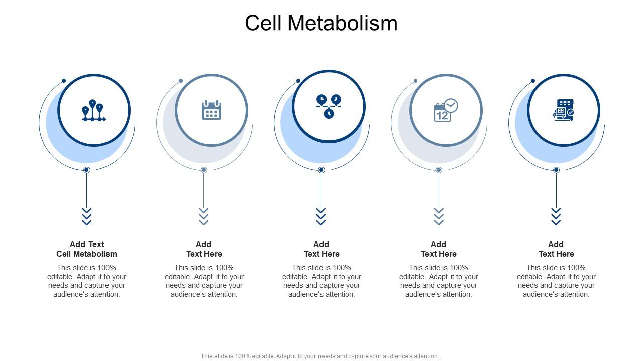 Cell Metabolism In Powerpoint And Google Slides Cpb