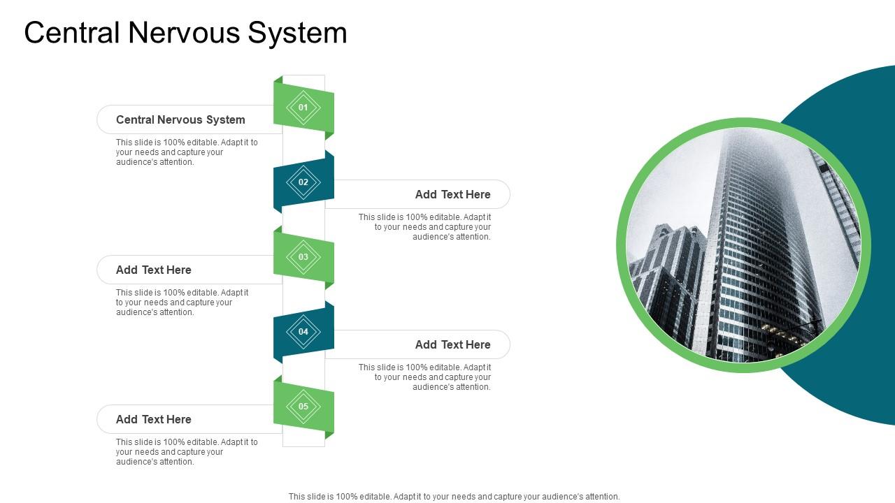Central Nervous System In Powerpoint And Google Slides Cpb