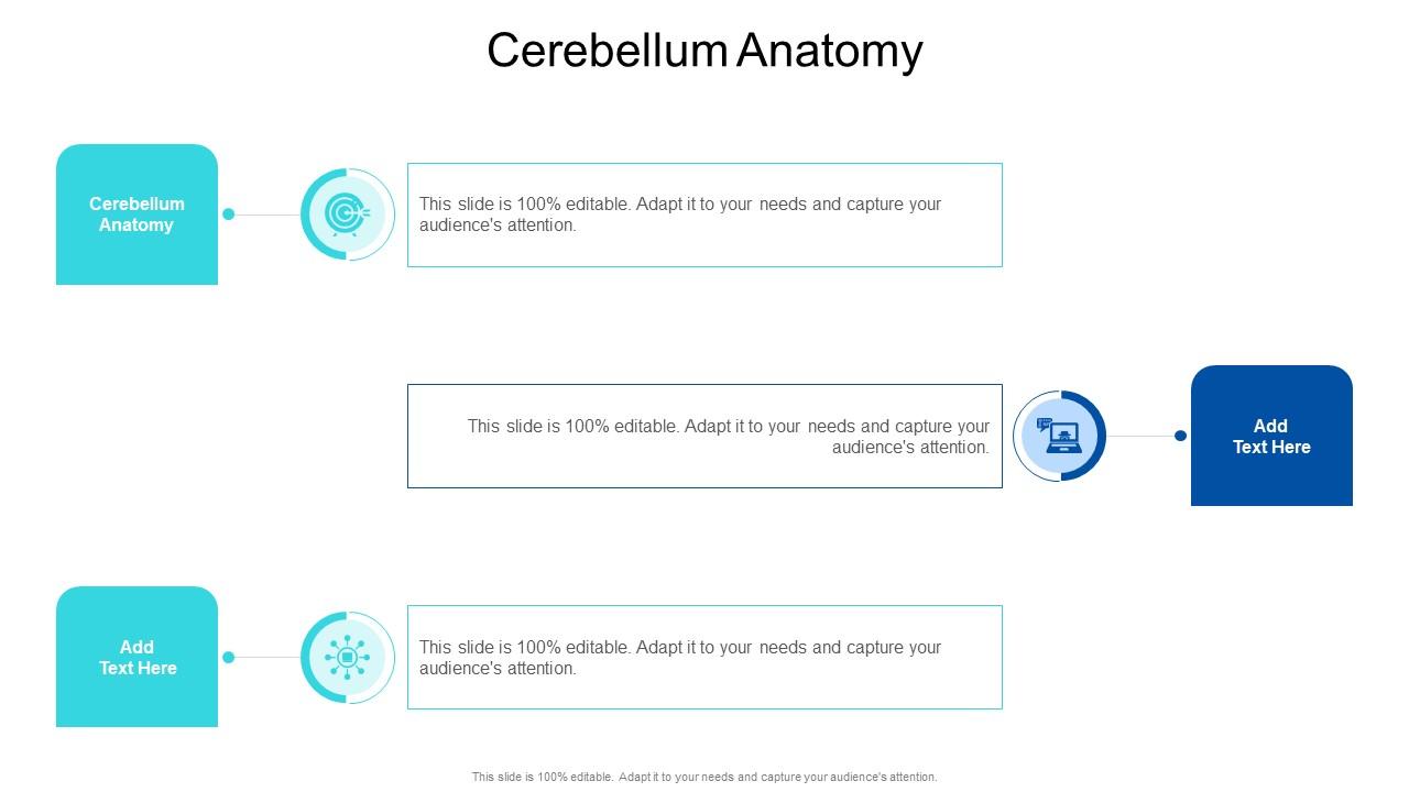 Cerebellum Anatomy In Powerpoint And Google Slides Cpb