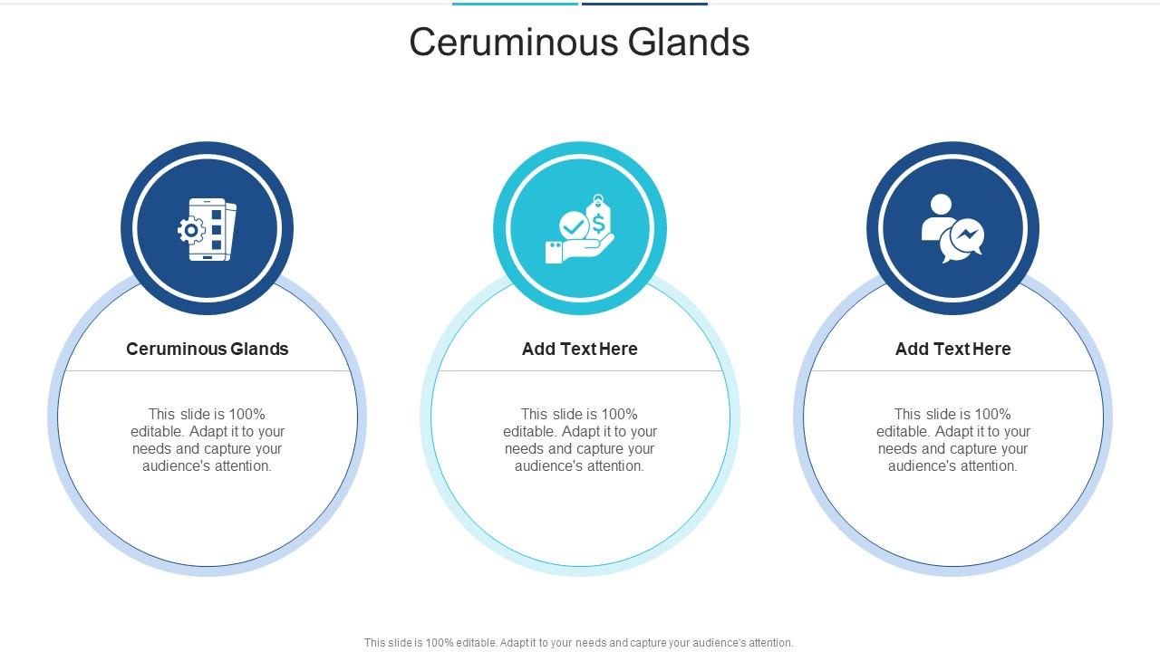 Ceruminous Glands In Powerpoint And Google Slides Cpb