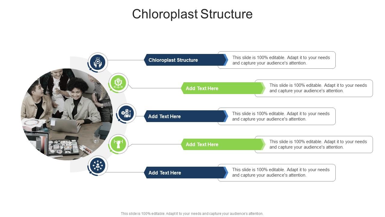 Chloroplast Structure In Powerpoint And Google Slides Cpb