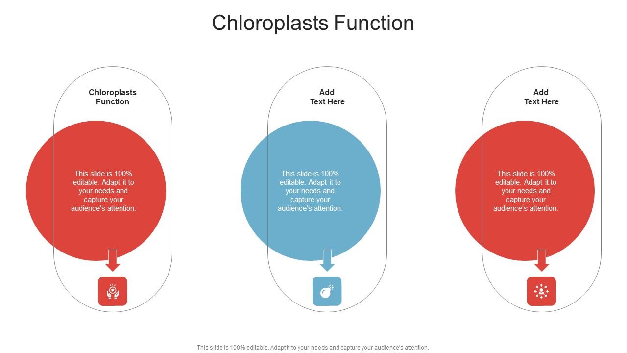 Chloroplasts Function In Powerpoint And Google Slides Cpb