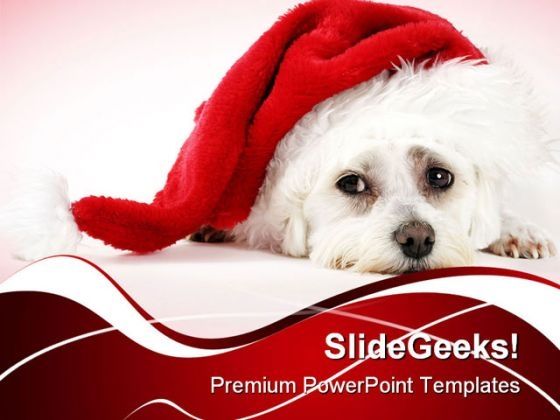 christmas_pooch_holidays_powerpoint_templates_and_powerpoint_backgrounds_0211_title.jpg
