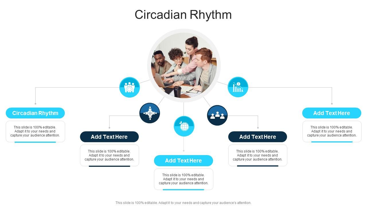 Circadian Rhythm In Powerpoint And Google Slides Cpb