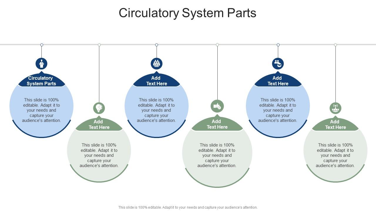 Circulatory System Parts In Powerpoint And Google Slides Cpb