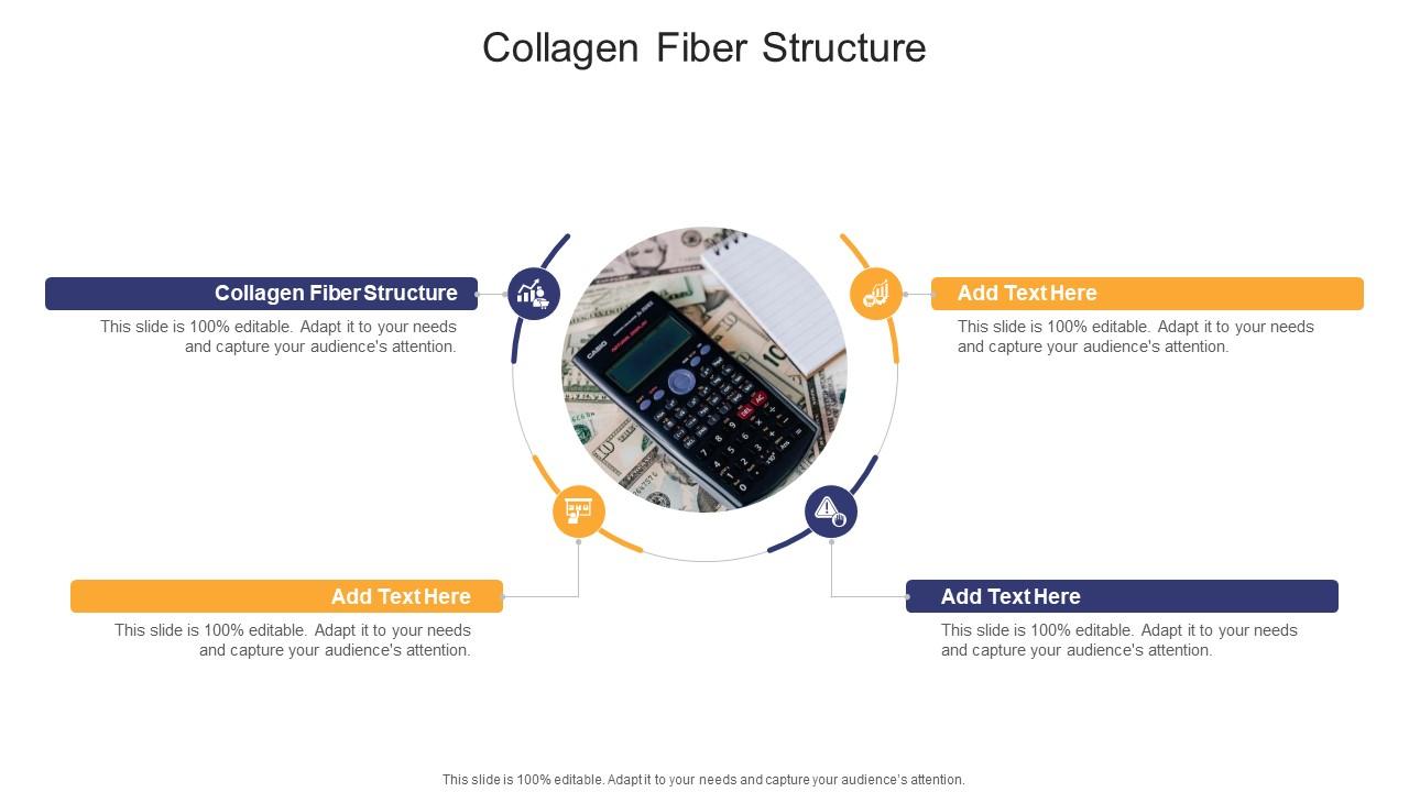 Collagen Fiber Structure In Powerpoint And Google Slides Cpb