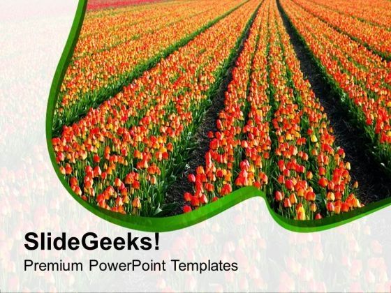 colorful_tulips_on_beautiful_background_powerpoint_templates_ppt_backgrounds_for_slides_0213_title.jpg