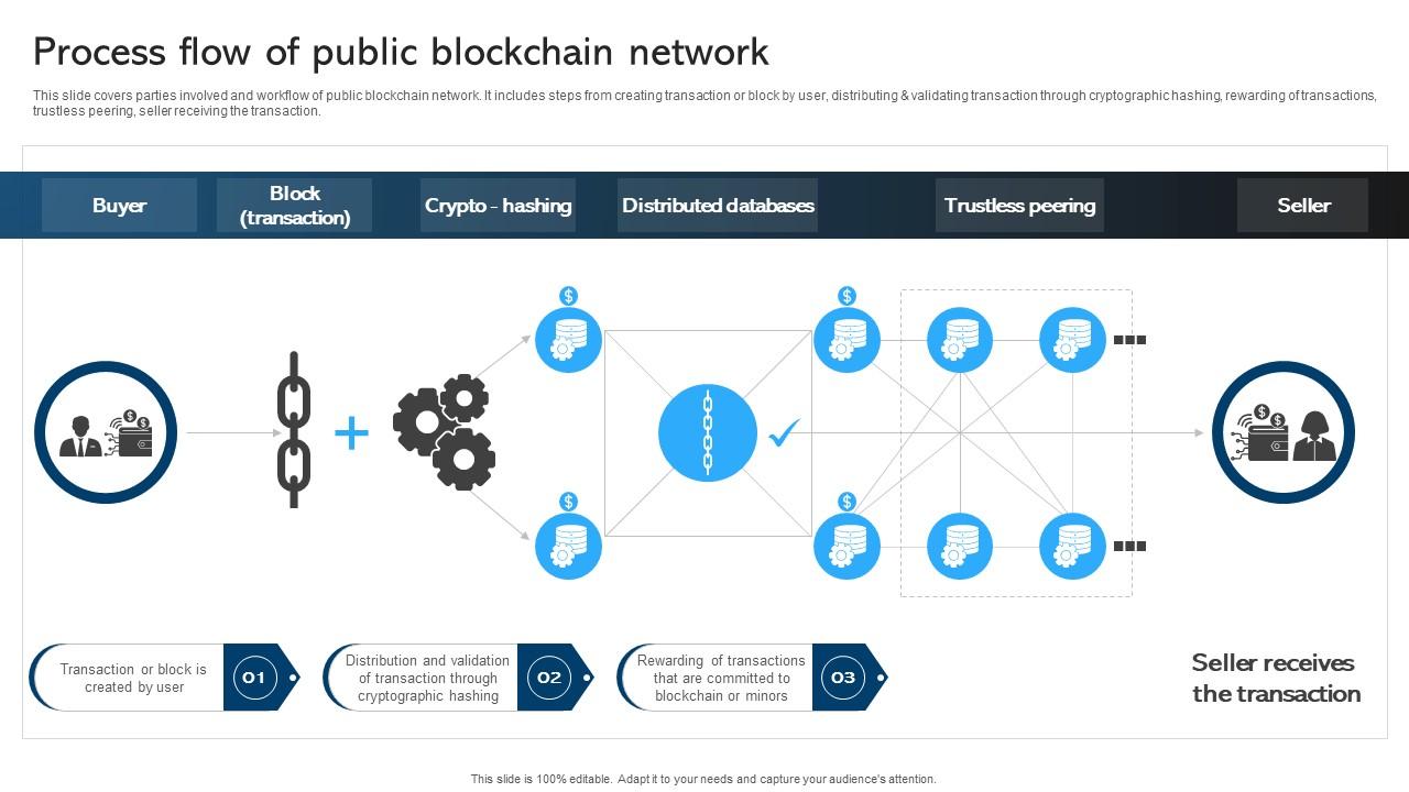 Comprehensive Manual For Blockchain Process Flow Of Public Blockchain BCT SS V