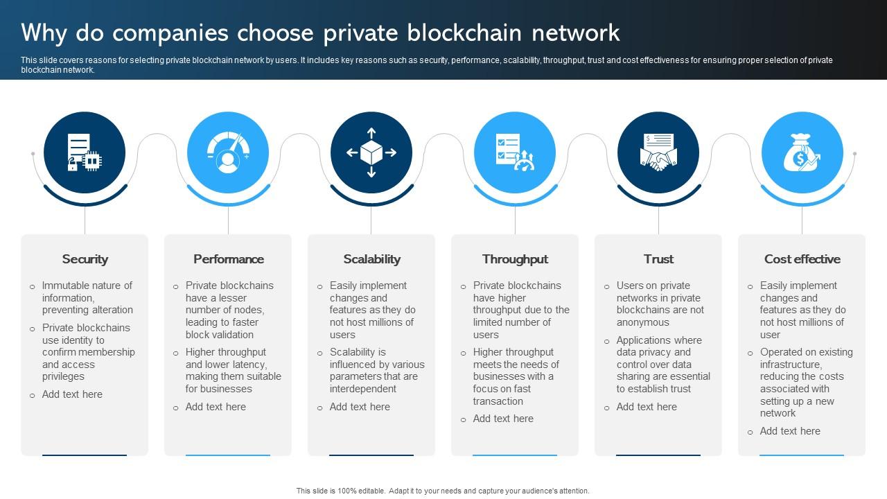Comprehensive Manual For Blockchain Why Do Companies Choose Private BCT SS V