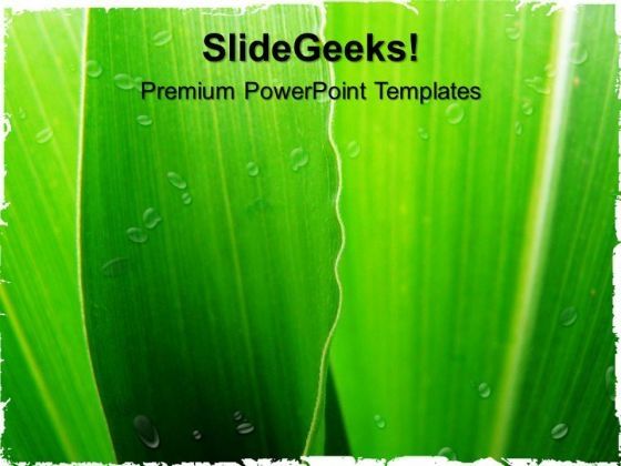 corn_leaf_nature_powerpoint_templates_and_powerpoint_themes_0512_title.jpg