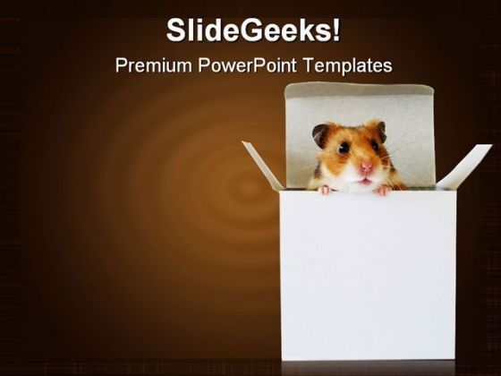 cramped_inside_the_box_business_template_1010_title.jpg
