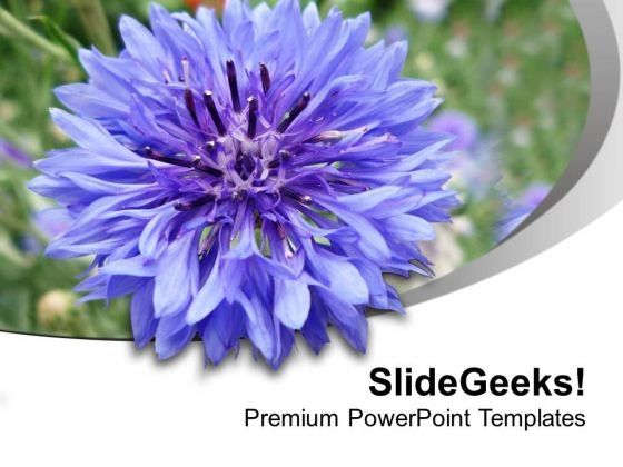 dahelia_flower_with_abstract_design_powerpoint_templates_ppt_backgrounds_for_slides_0613_title.jpg
