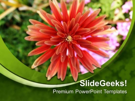 dahelia_flower_with_green_designer_background_powerpoint_templates_ppt_backgrounds_for_slides_0713_title.jpg