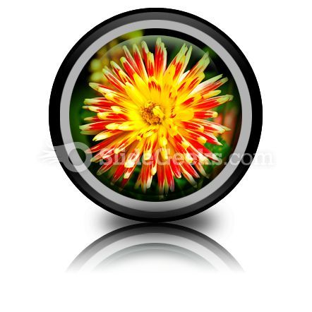 dahlia_beauty_powerpoint_icon_cc.jpg