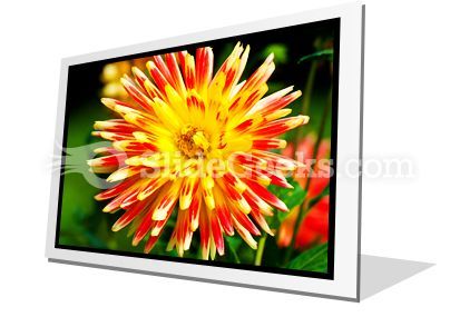 dahlia_beauty_powerpoint_icon_f.jpg