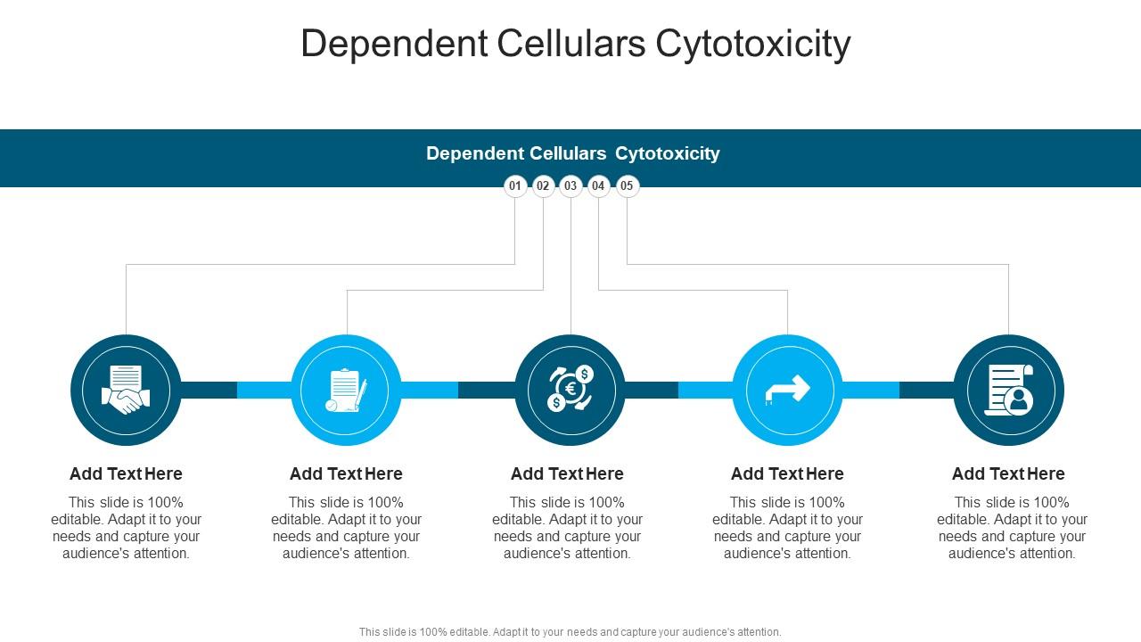 Dependent Cellulars Cytotoxicity In Powerpoint And Google Slides Cpb
