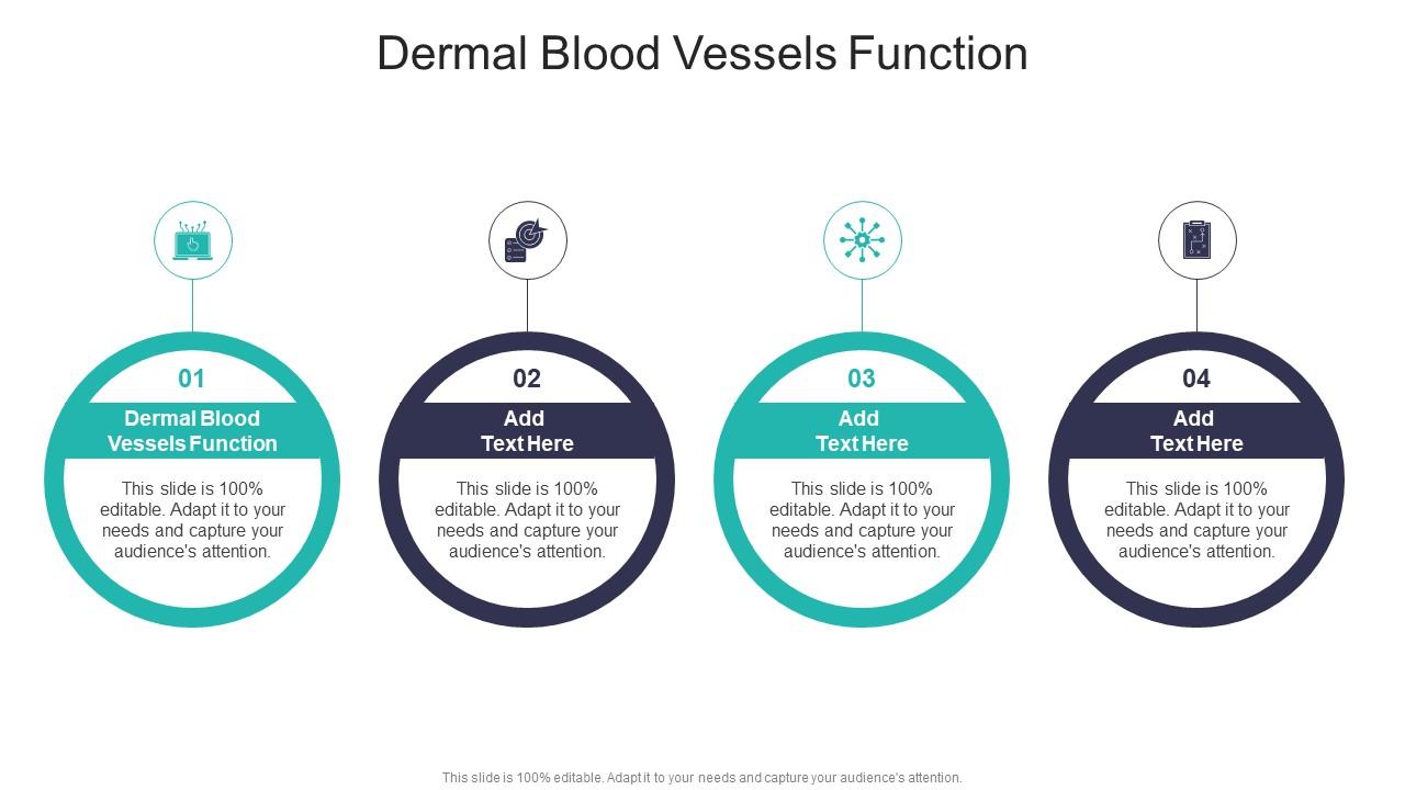 Dermal Blood Vessels Function In Powerpoint And Google Slides Cpb