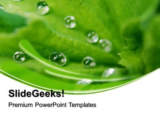 dew_drops_on_leaves_beauty_powerpoint_templates_and_powerpoint_themes_0512_title.jpg
