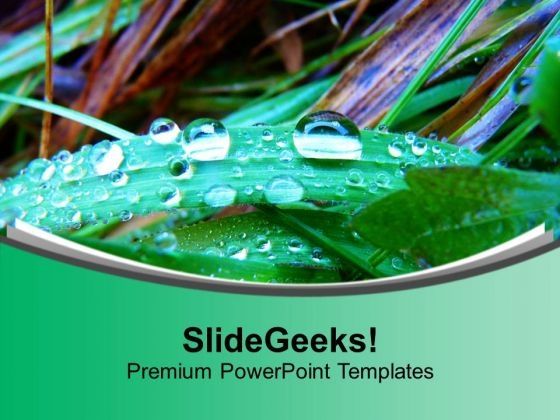 dew_drops_on_petals_nature_beauty_powerpoint_templates_ppt_backgrounds_for_slides_0613_title.jpg