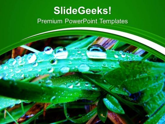 dew_on_grass_with_green_background_powerpoint_templates_ppt_backgrounds_for_slides_0613_title.jpg